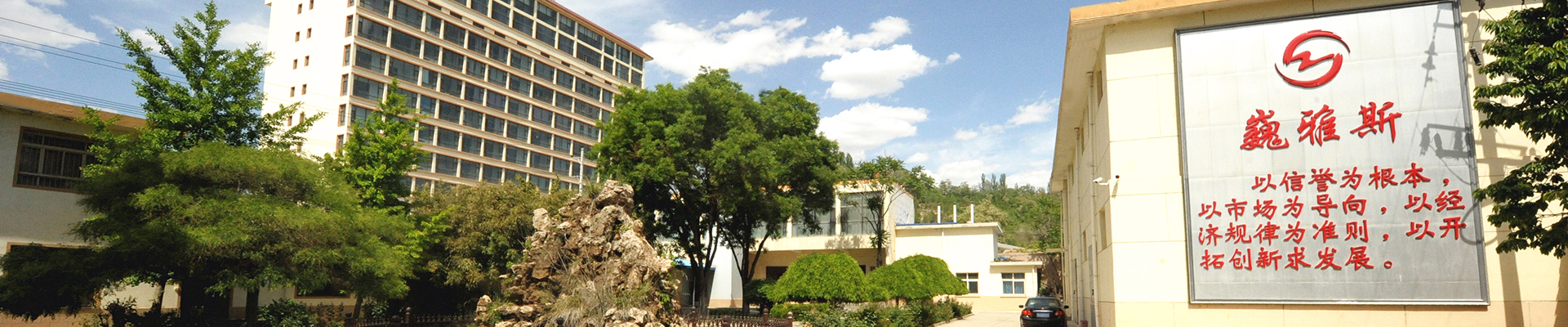 巍雅斯開創(chuàng)于1976年，50年來，在黨的改革開放政策指引下，始終堅持“以信譽為根本、以市場為導向、以經濟規(guī)律為準則、以開拓創(chuàng)新求發(fā)展”，與甘肅、寧夏、青海、陜西、西藏、內蒙等六省區(qū)80多家大型零售商場建立了長期友好的合作關系。